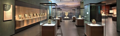 Freestanding Display Cases Highlight Characteristic & Individual History