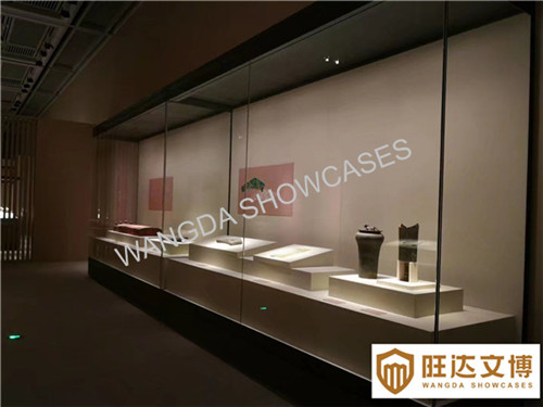 VITRINE EXPO  Showcase display for collectors